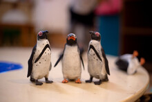 Three Toy Figurine Penguins