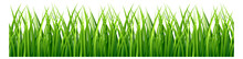 Green Grass Border. Realistic Horizontal Meadow Plants