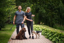 Shot Of Glad Couple With Two Dogs Walking In Forest Together On Vacation.
