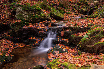 Wall Mural - waterfall in autumn