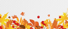 Falling Colorful Autumn Maple And Oak Leaves, Viburnum And Acorns With Defocused Blur Effect. Autumn Background With Leaf Fall For Your Design. Vector Illustration. Flat Design