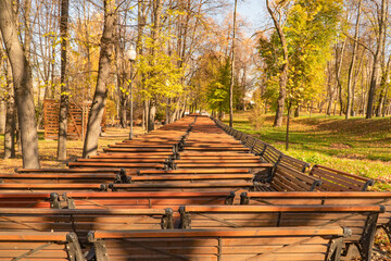 Wall Mural - Autumn park with benches