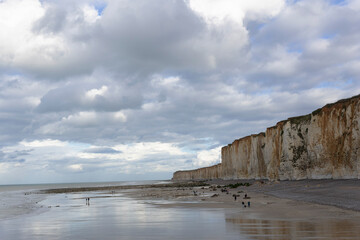 Wall Mural - Chalk cliffs along the Channel coast in France, Normandy