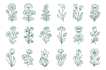 Floral line art set, linear botanical vector design elements. Flower drawings with thin line. Collection of blooming hand drown flowers, contour drawings.