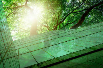 sustainble green building. eco-friendly building. sustainable glass office building with tree for re