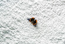 Closeup Shot Of A Red Admiral Butterfly On A White Wall