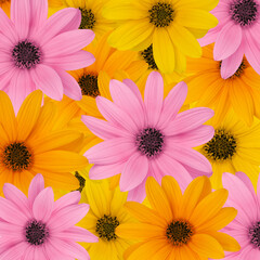 Poster - composition with colored flower for spring or background