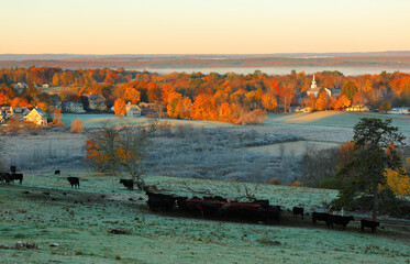 Wall Mural - Overlooking a peaceful New England Farm in the autumn at sunrise with frost on foreground, Boston, Massachusetts, USA