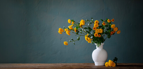 yellow chrysanthemums in white vase on background dark wall