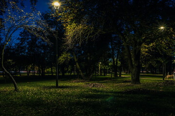 The tailed road with yellow leafs in the night park with lanterns in autumn. Benches in the park during the autumn season at night. Illumination of a park road with lanterns at night. Park Kyoto