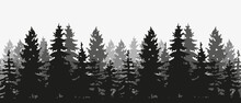 Spruce Treeline Silhouette Landscape. Pine Tree Silhouette Landscape