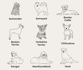 Wall Mural - Dog Line Drawing, line art, one color, black and white, vector isolated illustration in black color on white background. Komondor, Samoyed, Border Collie, Boston Terrier, Yorkshire Terrier, Chihuahua