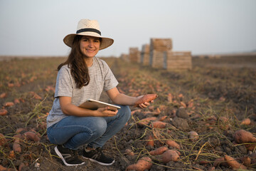 Sticker - Portrait of smiling woman farmer using technology, young agronomist woman using tablet in agriculture in her field checking quality sweet potatoes. Fresh organic sweet potatoes