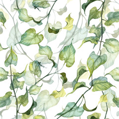 floral seamless pattern with realistic botany watercolor on white background. watercolor hand painte