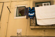 laundry hanging on a clothesline