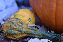 Green And Yellow Gourds By A Pumpkin