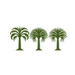 sabal palmetto palm trees vector
