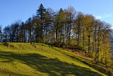 Fototapeta Natura - schweiz herbst landschaft  farben der Landschaft ruhe erholung landwirtschaft erholung relax entspannung wandern blauer Himmel 