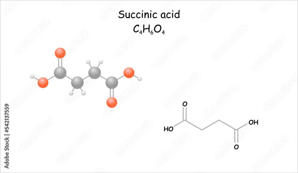 Stylized molecule model/structural formula of succinic acid.