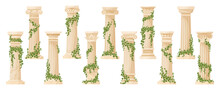 Cartoon Ancient Ivy-covered Greek Column. Ancient Roman Pillars With Climbing Ivy Branches Flat Vector Illustration Set. Antique Foliage Decorated Columns Collection
