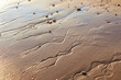 Curved water trails on a sand of a seashore