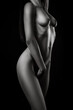 © staras - Art nude, perfect naked body, sexy young woman on dark background, black and white studio shot