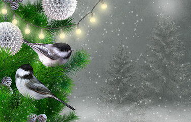 christmas, new year's winter holiday background, two birds white tits sit on a spruce branch, decora