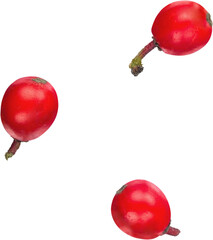 Poster - Red berry isolated on white background