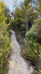 Sticker - Chemin de randonnée, parc Abel Tasman - Nouvelle Zélande 