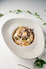 Sticker - Italian dish of risotto with artichokes, top view