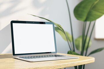 Close up of creative designer office desktop with empty white laptop monitor with mock up place in frame, concrete wall background with sunlight and shadows, blurry decorative plant. 3D Rendering.