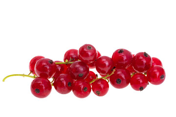 Wall Mural - currant berries isolated