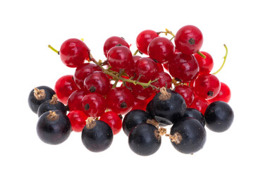 Poster - currant berries isolated