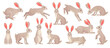 Jackrabbits. Wild hare fluffy brown rabbit with long ears, fast running jackrabbit forest mammal beast haring animals pose for easter bunny, cartoon ingenious vector illustration