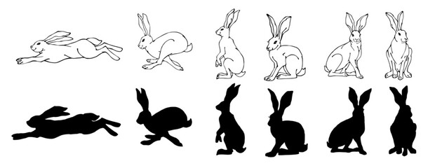 Set of sketches and silhouettes of forest animals wild hares.Vector graphics.