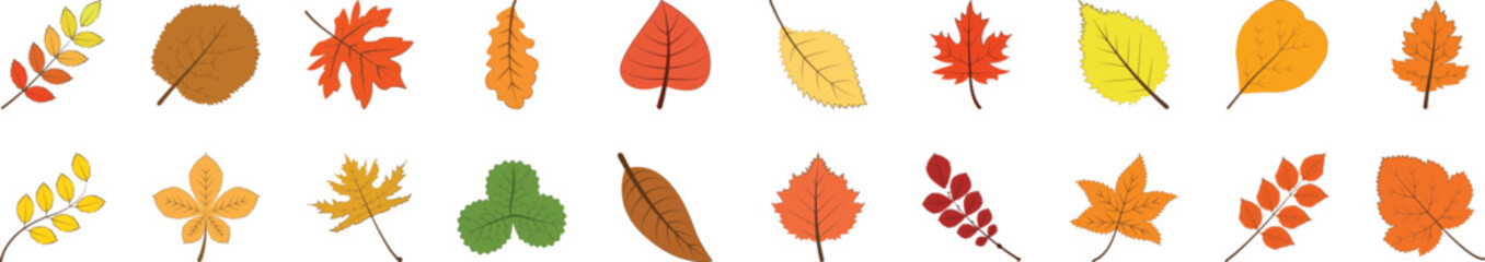 Poster - Leaf icon collections vector design