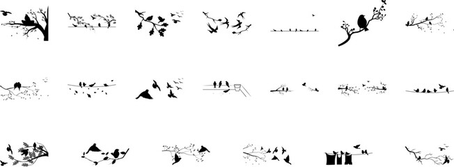 Poster - Bird icon collections vector design
