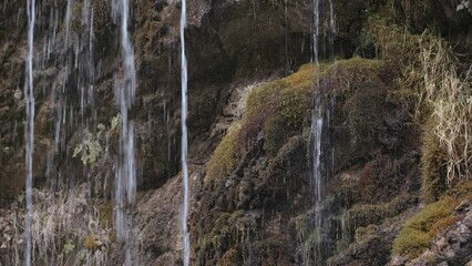 Wall Mural - Water drops in a naturel reserve around a waterfall in Turkey.