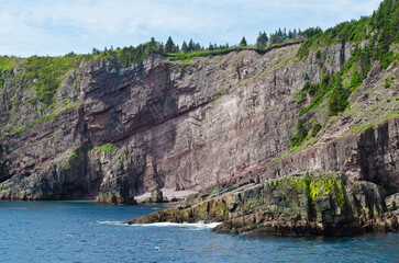 Wall Mural - The shore of Newfoundland