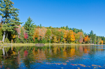 Wall Mural - Sunrise above forest lake