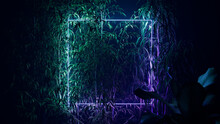Green And Purple Neon Light With Tropical Plants. Square Shaped Fluorescent Frame In Rainforest Environment.