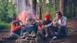 © silverkblack - multiethnic group of friends young girls and guys are sitting in forest around fire with drinks clinking glasses and smiling, smoke is going up.