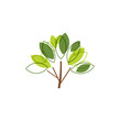 Logo image of a tree with leaves isolated