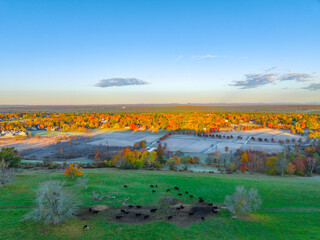Wall Mural - autumn farm field with morning fog under sunlight