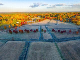 Wall Mural - aerial view of autumn farm field with morning fog under sunlight