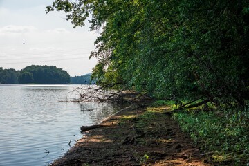 Sticker - Beautiful shot of the green countryside with trees by the sea in Pennsylvania