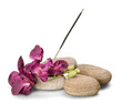 Flower and Rocks with Incense Stick
