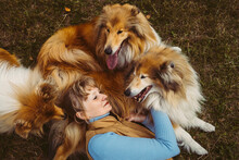Smiling Woman Lying With Collie Dogs On Grass At Park