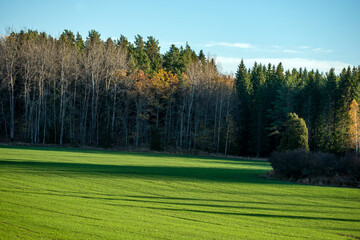 Sticker - landscape with trees , värmdö, sweden, sverige