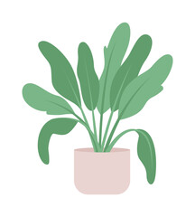 Wall Mural - Large sized plant for living room semi flat color vector object. Editable element. Full sized item on white. Decor simple cartoon style illustration for web graphic design and animation